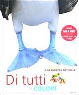 Di tutti i colori (Animali a grandezza naturale)