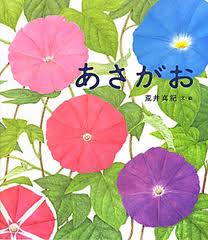 Morning glory (hb) (Japanese edition)